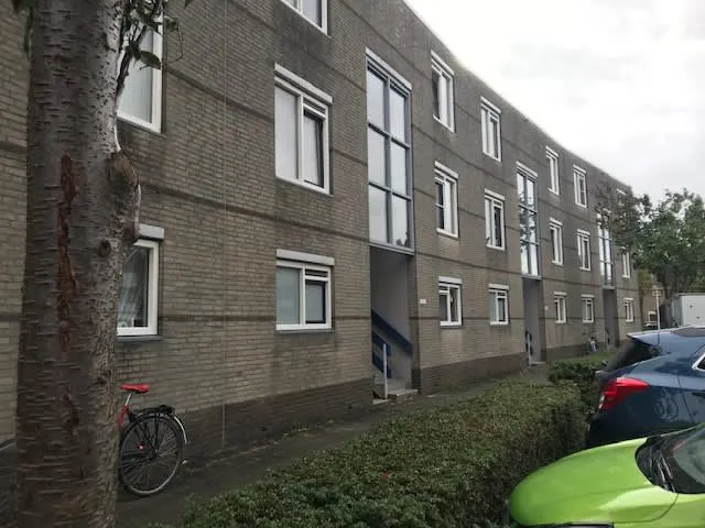 Madeliefveld