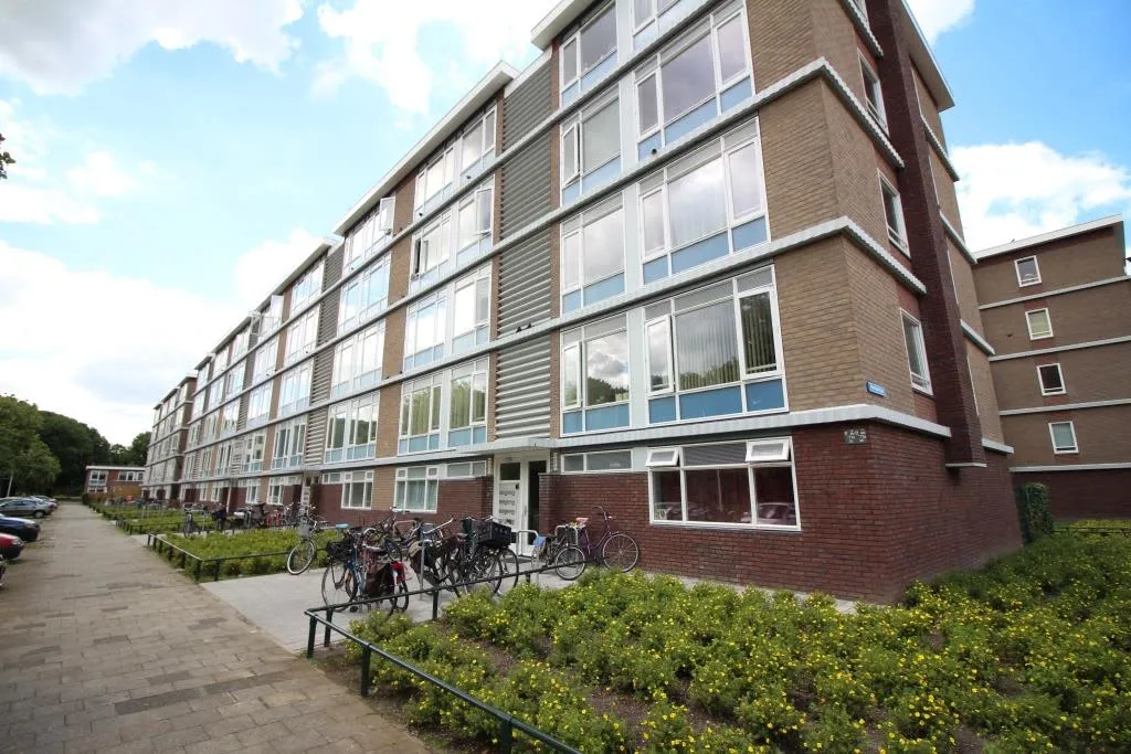 Nijeveldsingel