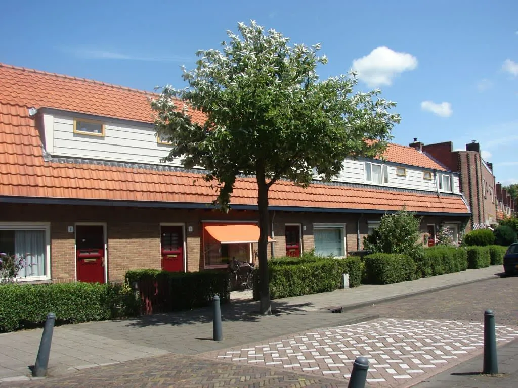 Paus Leostraat
