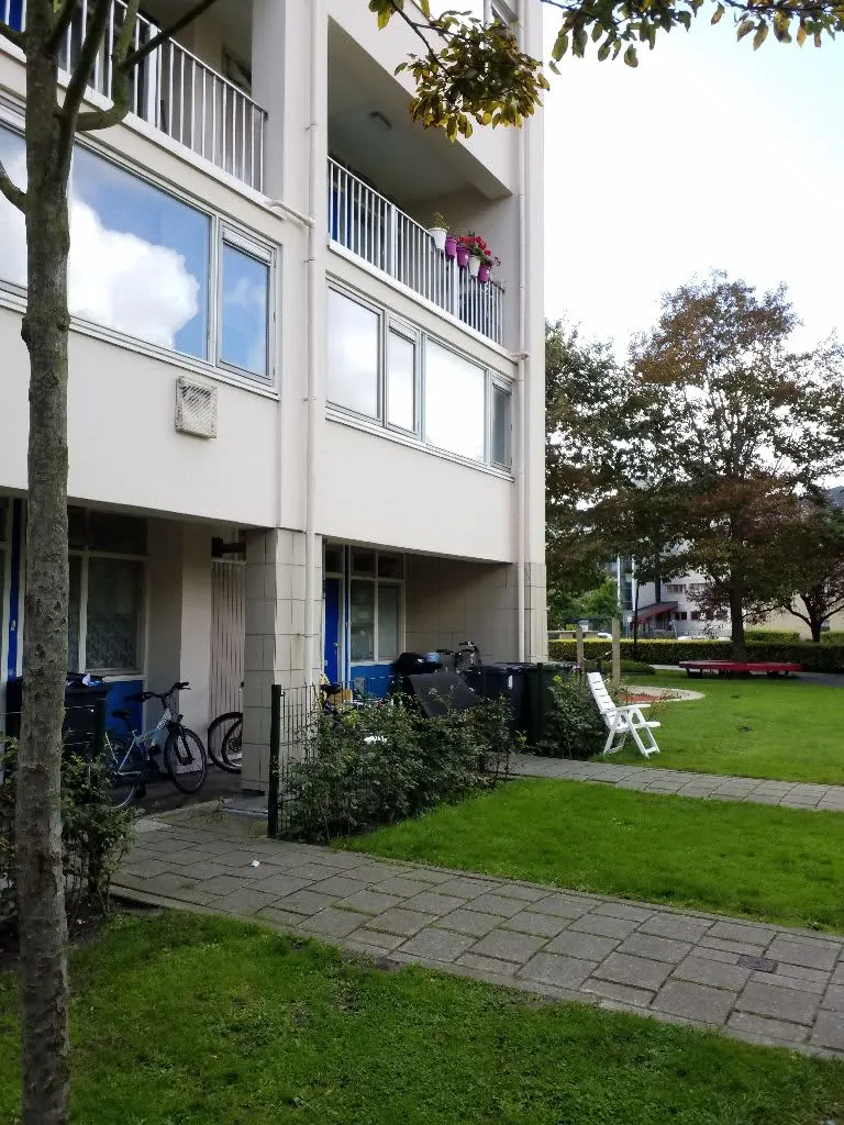 Rijksstraatweg