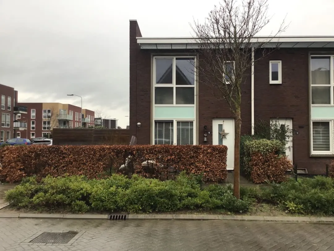 Kleine Parelmoervlinder