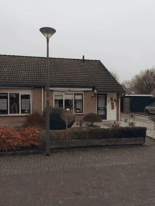 Vedergras