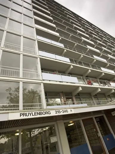 Pruylenborg