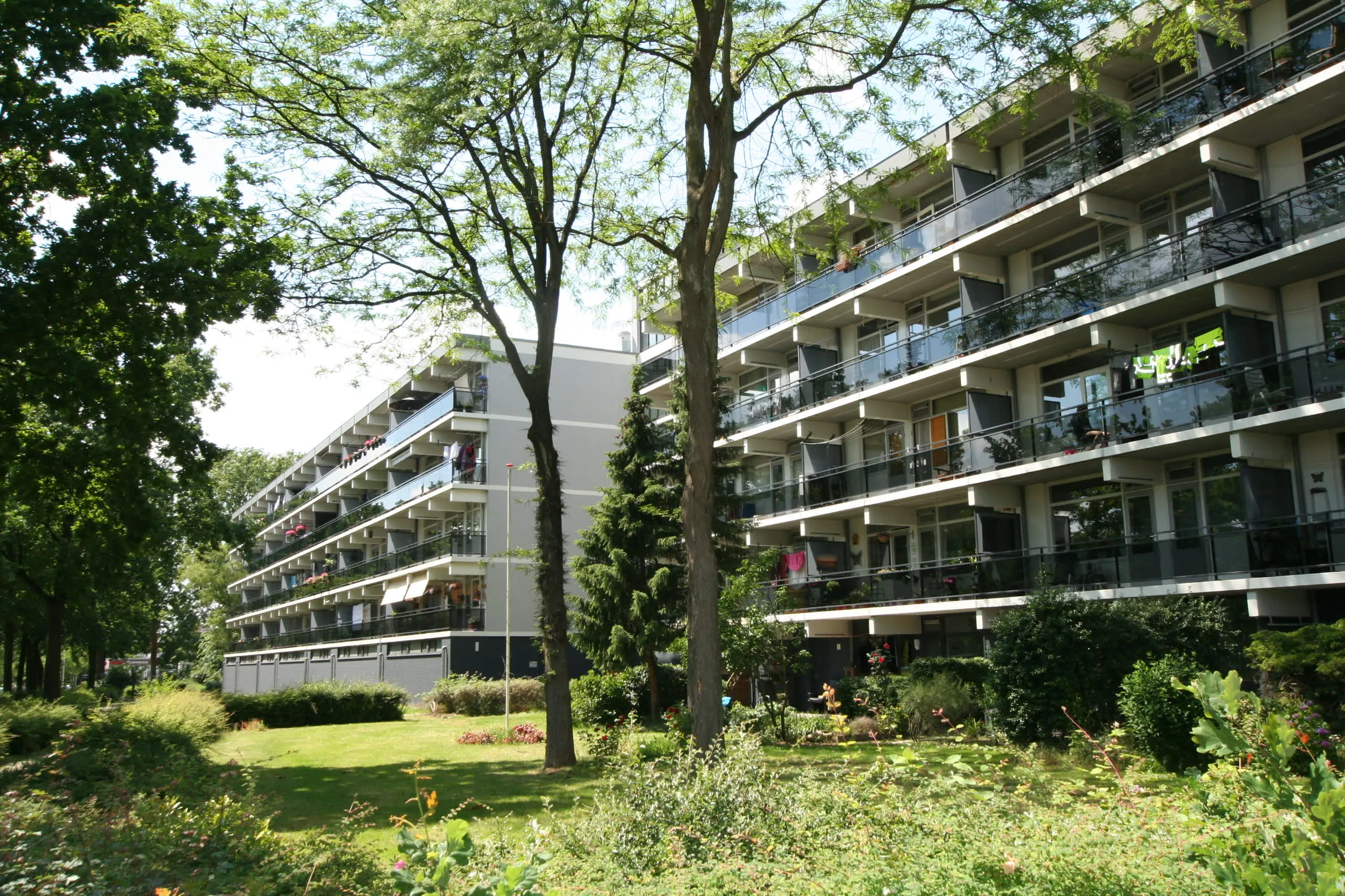 Pomona