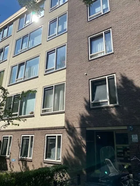 Livingstonelaan
