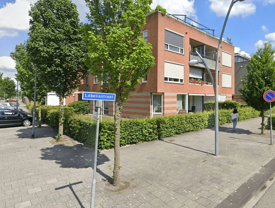 Lobeliastraat