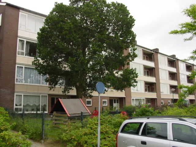 Dokter Wallerstraat