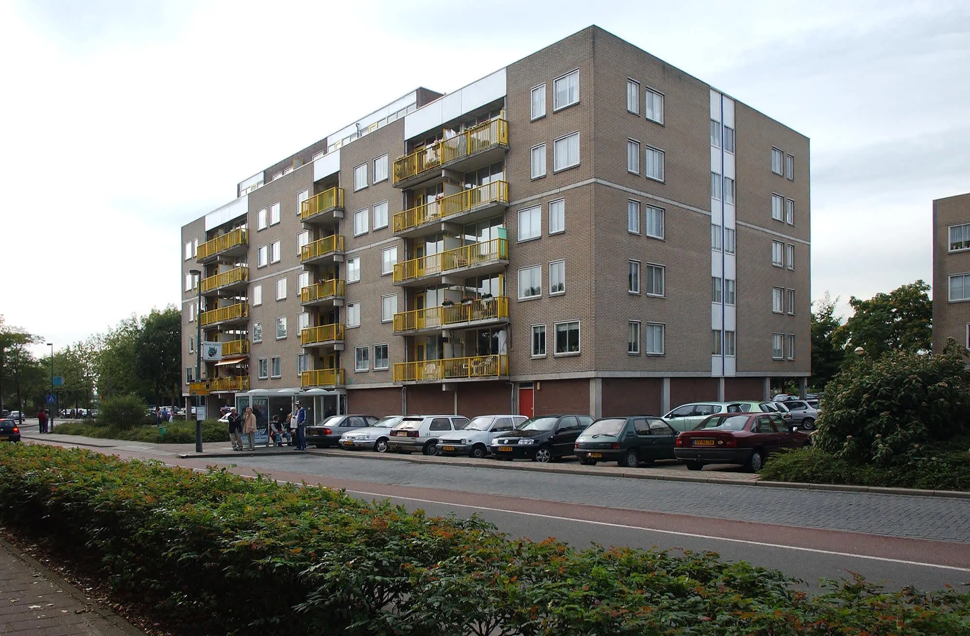 Bisonspoor