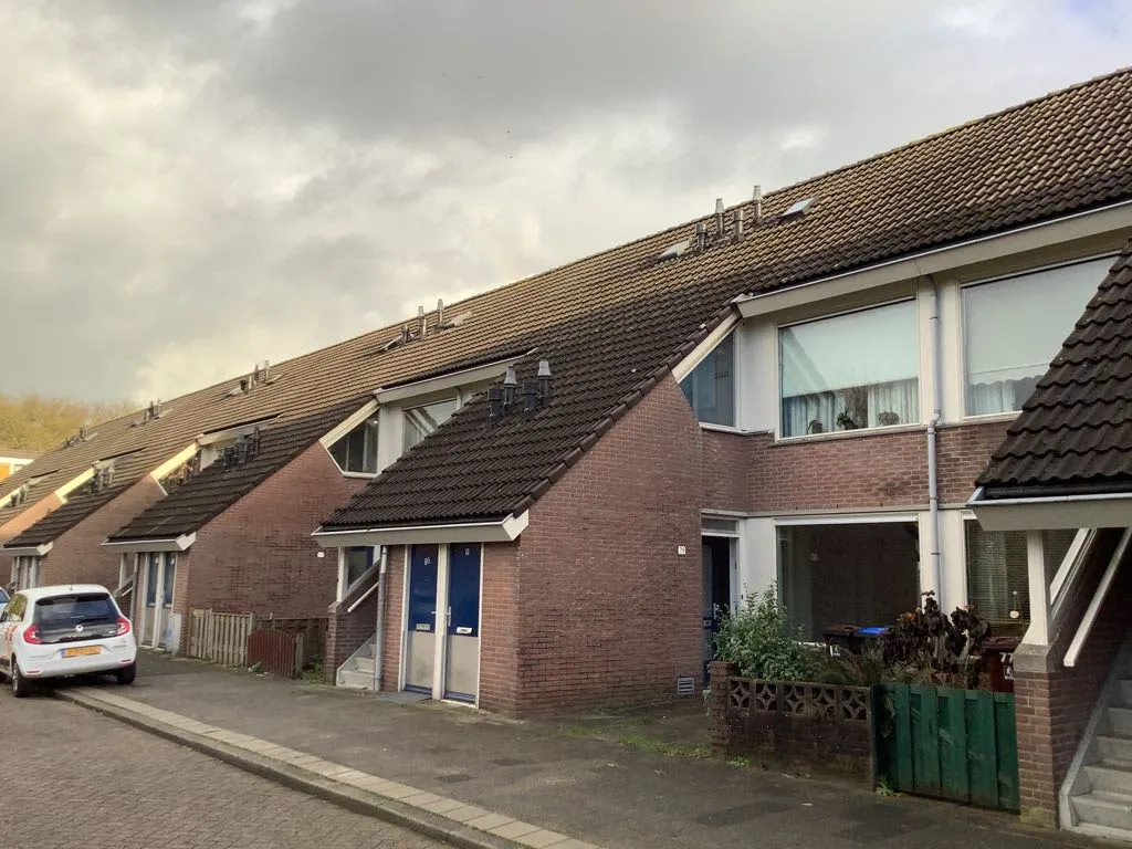Wijnbesplantsoen