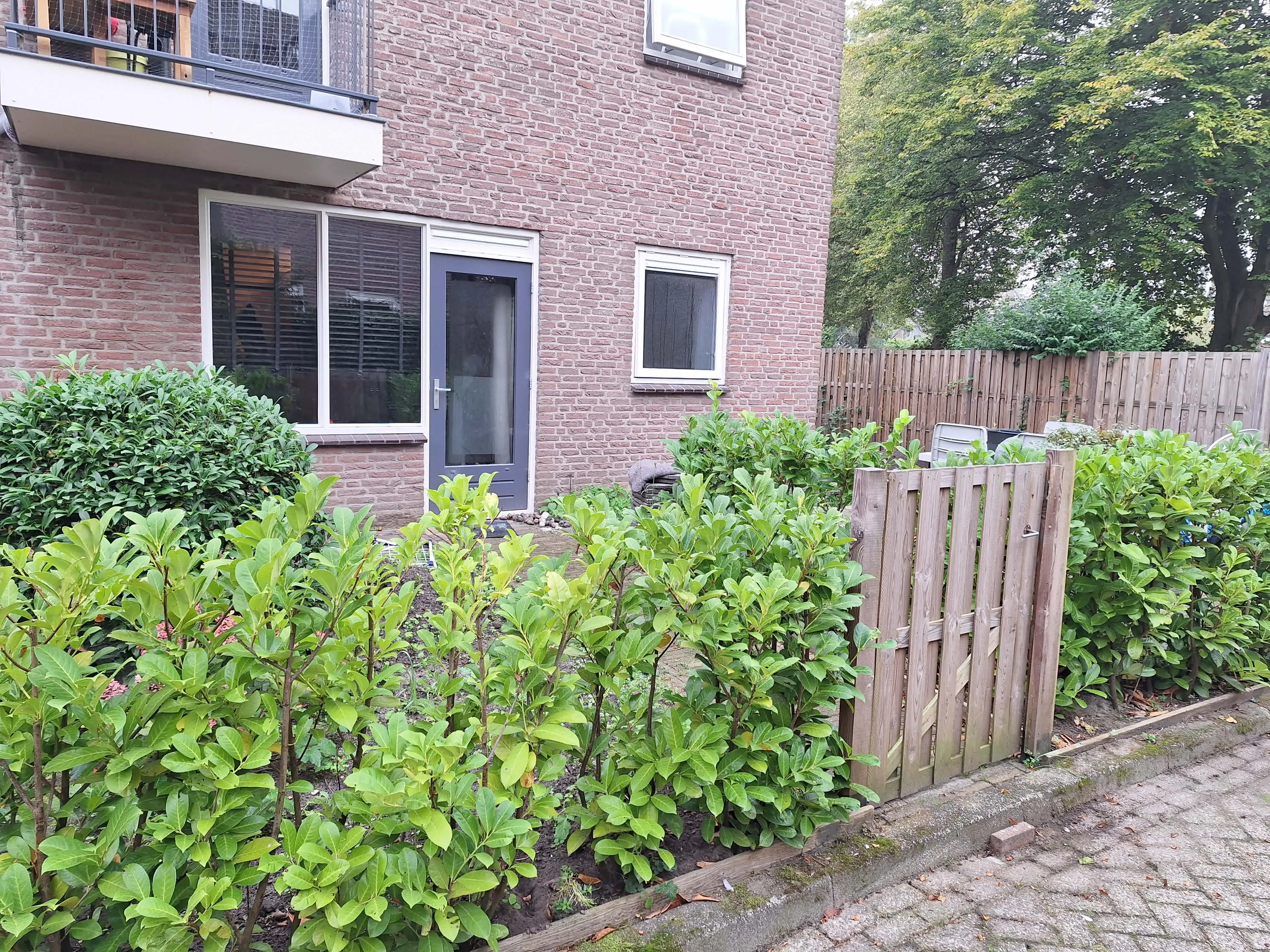 Oosterklip