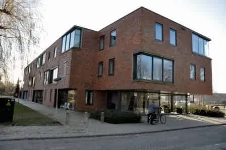 Roerdomp
