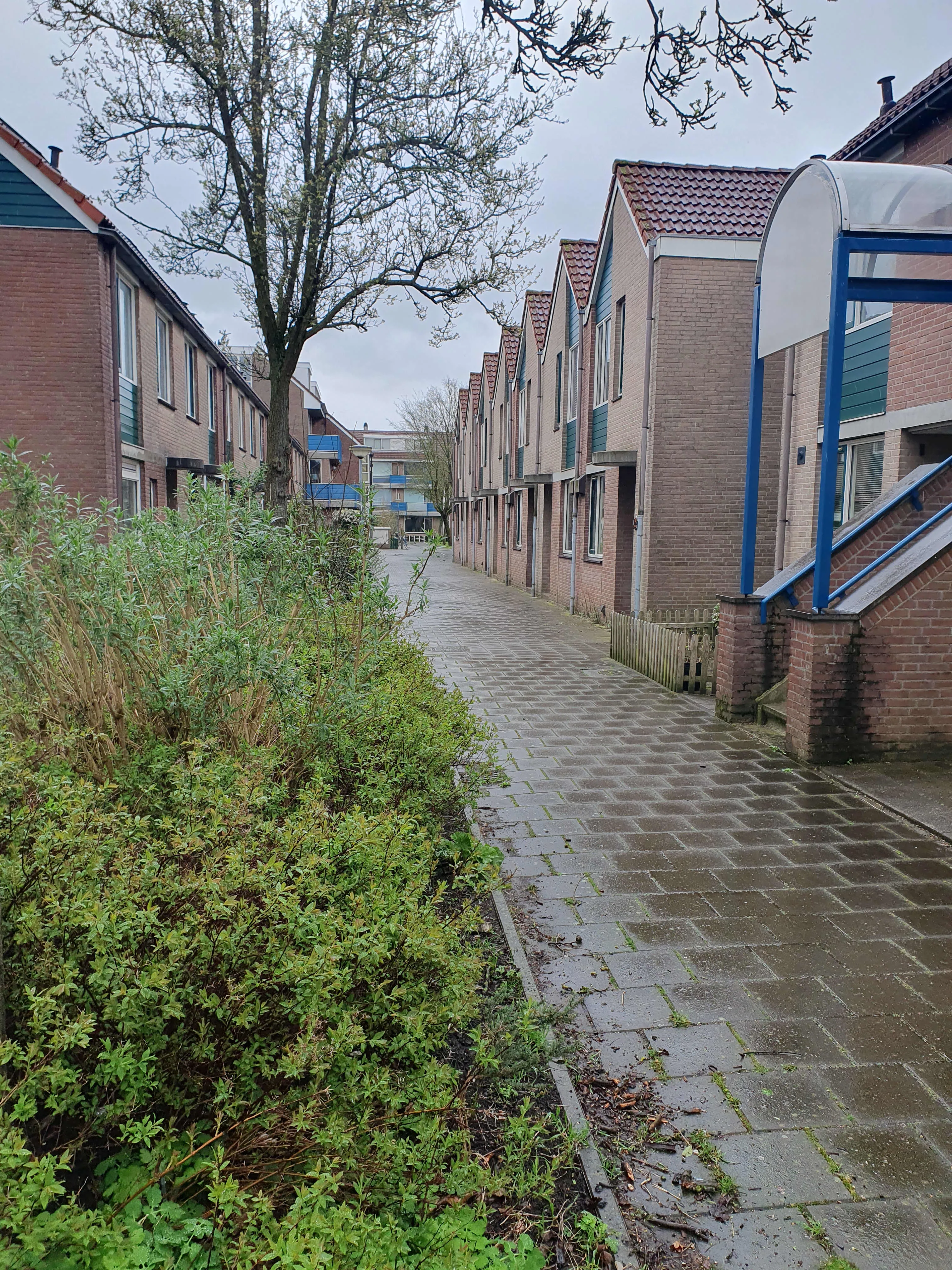 Jutestraat