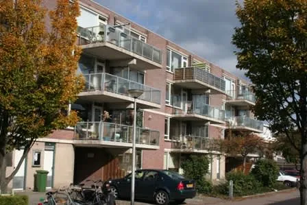 Eerste Hieronymus van Alphenstraat