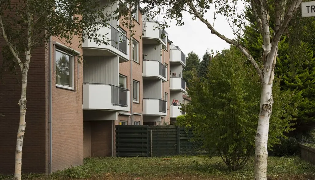Trommelaar