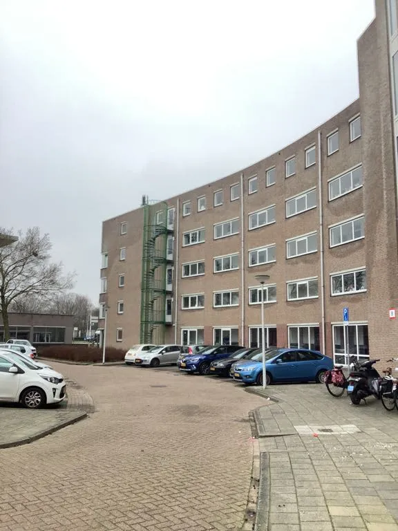 Bosbesplein