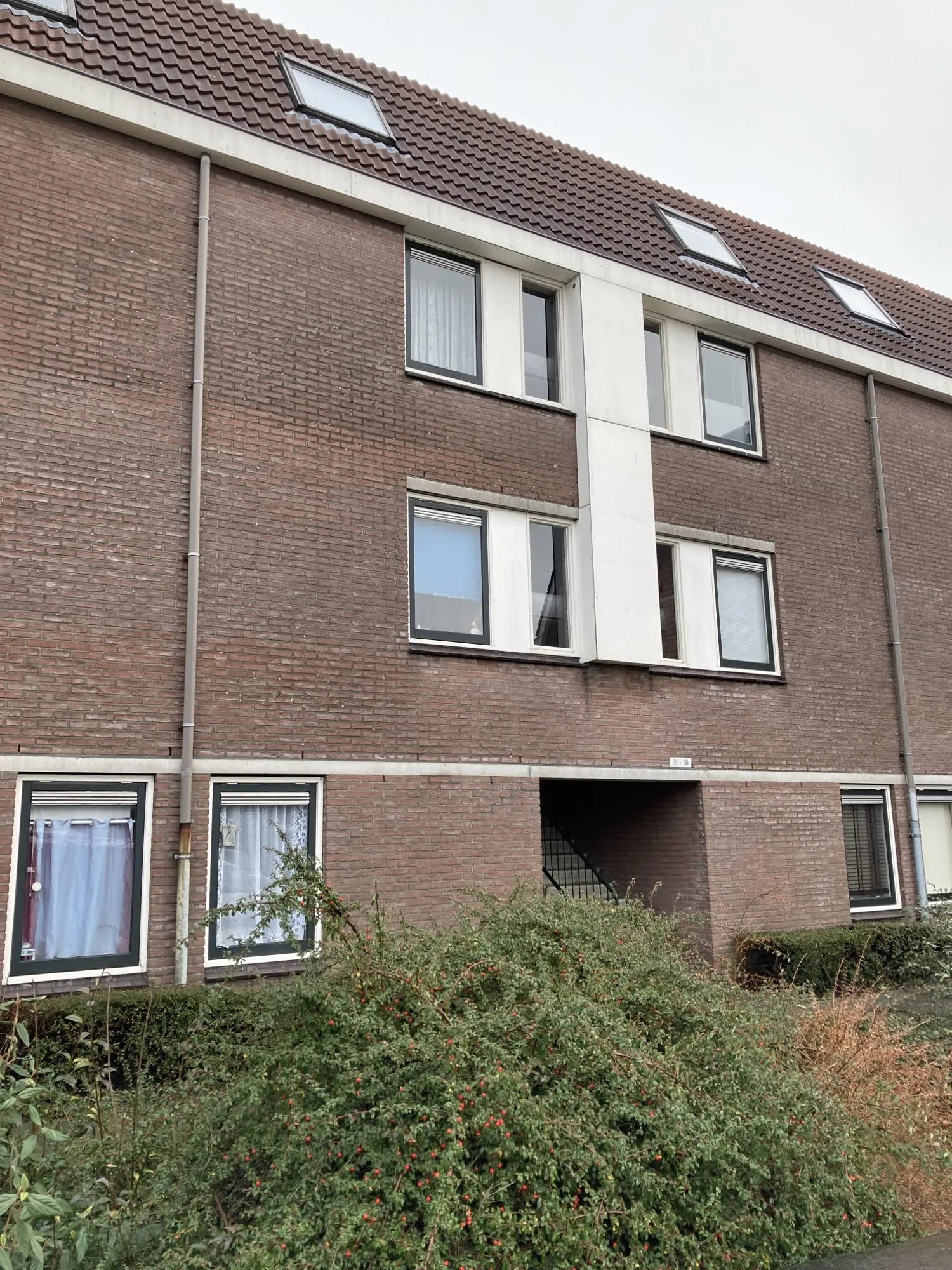 Anton Mauvestraat