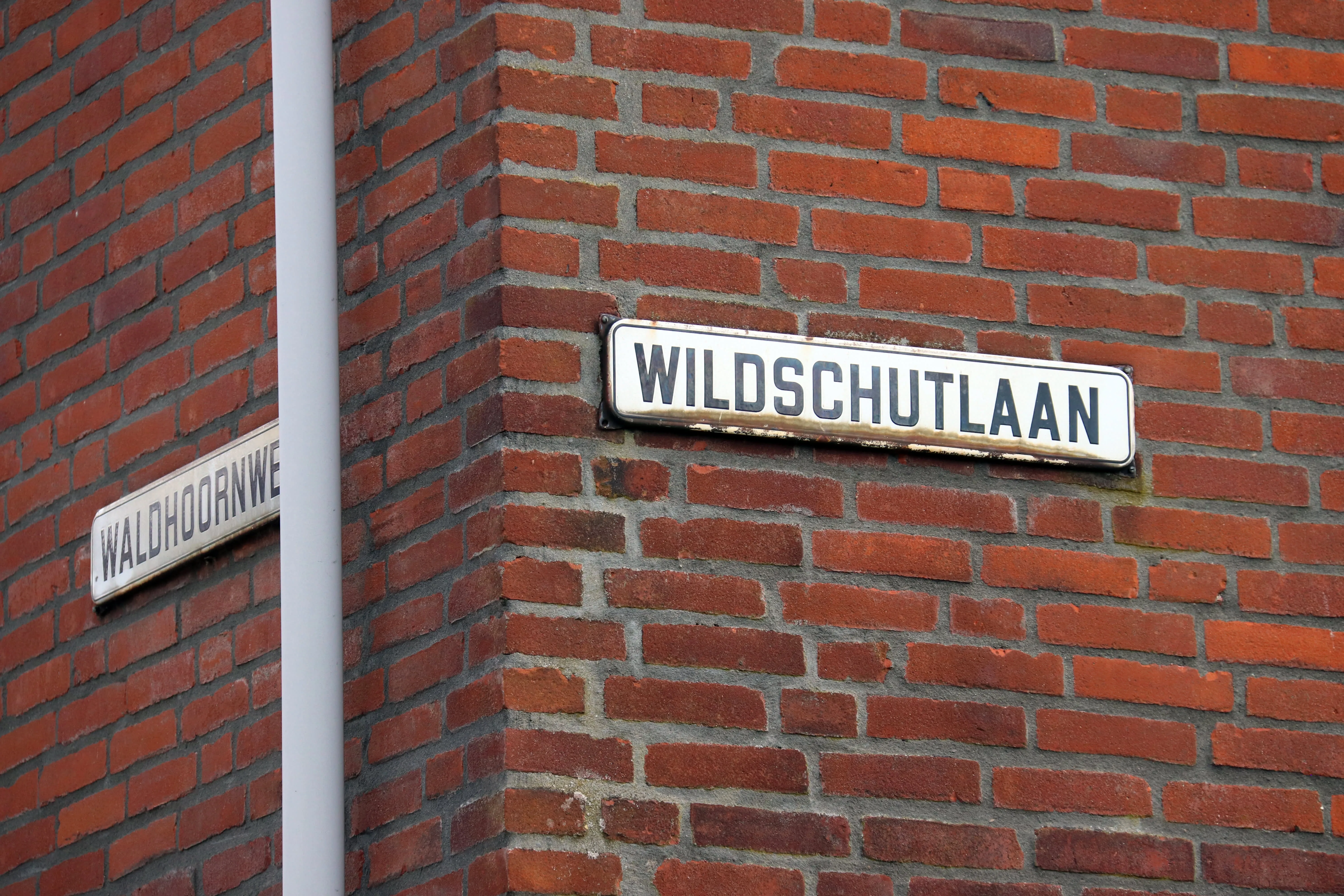Wildschutlaan
