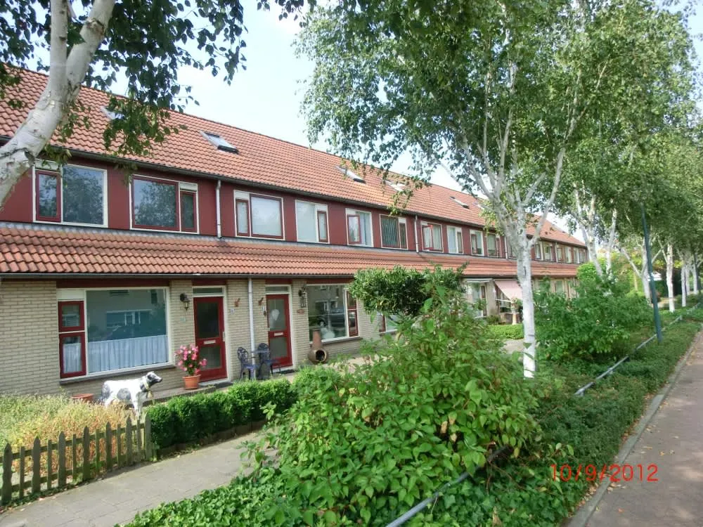 Bontekoestraat