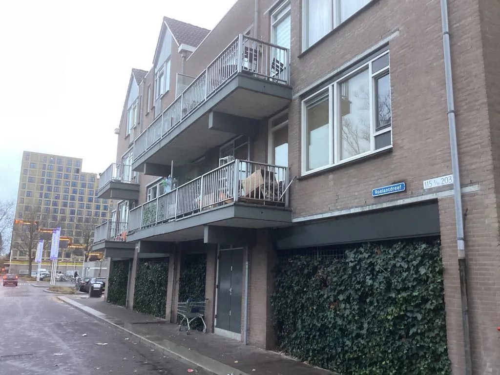 Roelantdreef