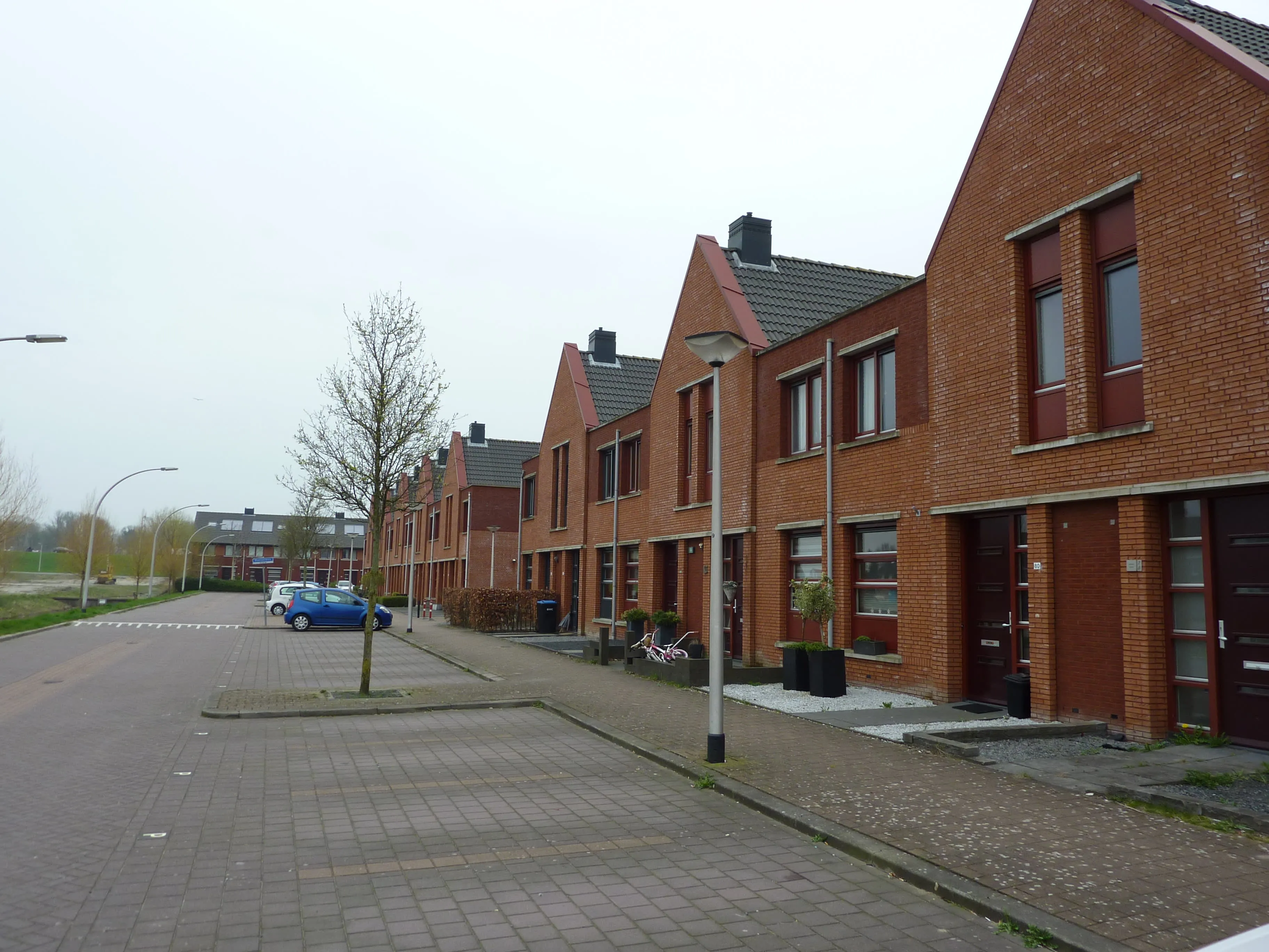 Moerasvaren