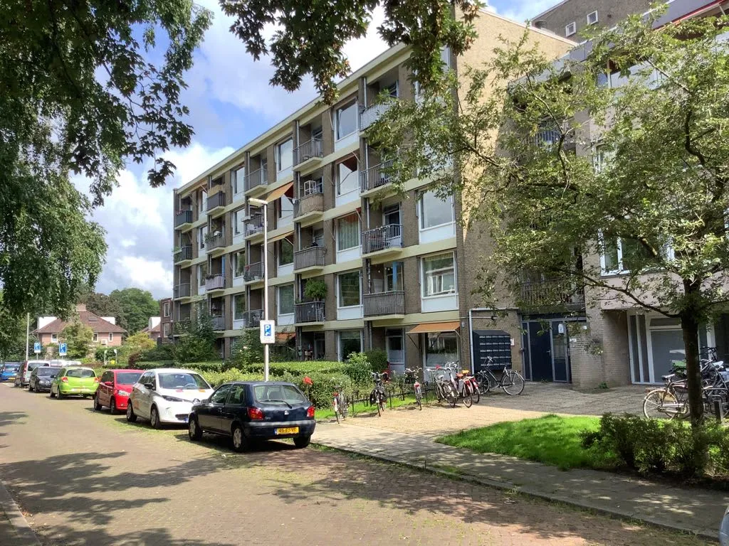 Ornsteinsingel