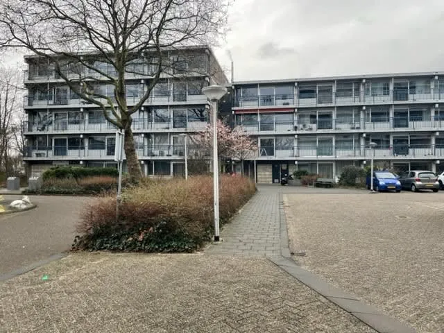 Rietgorsplein