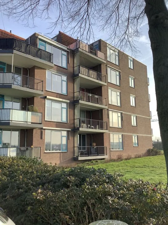 Merwedesingel