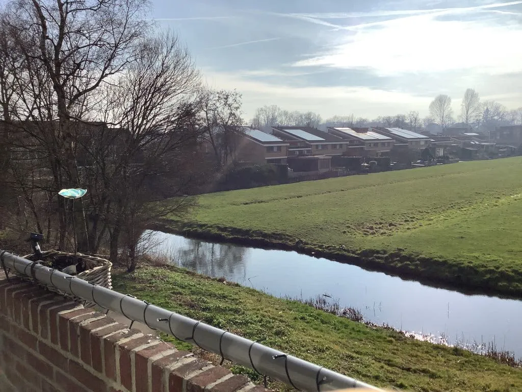 De Savornin Lohmanweg
