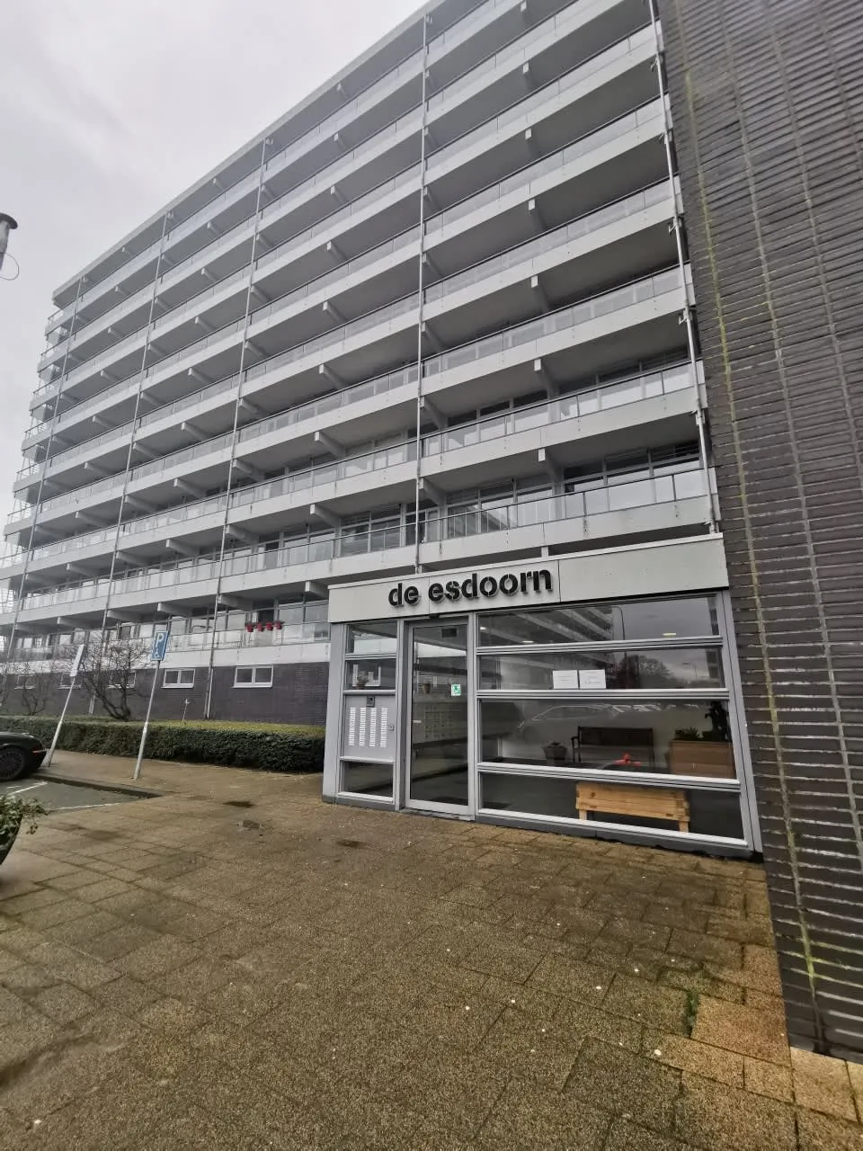 de Esdoorn
