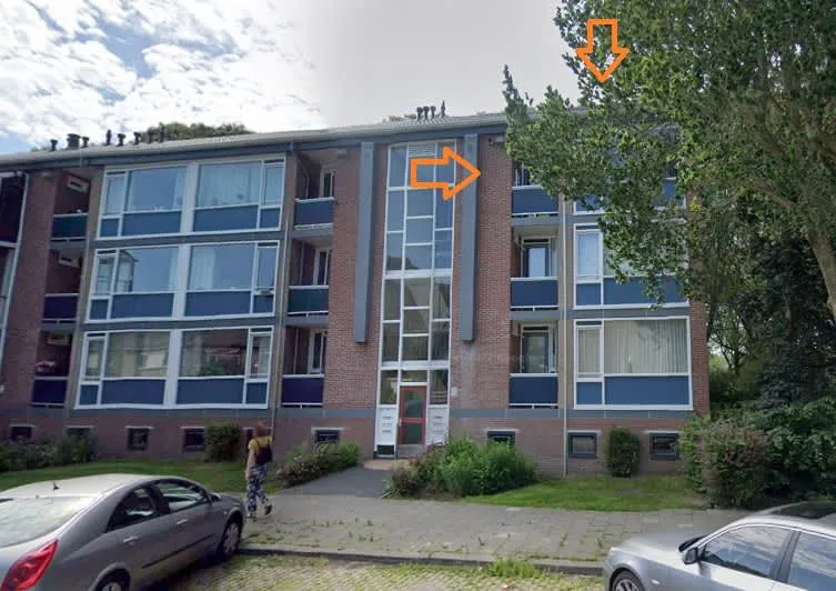 Maluslaan