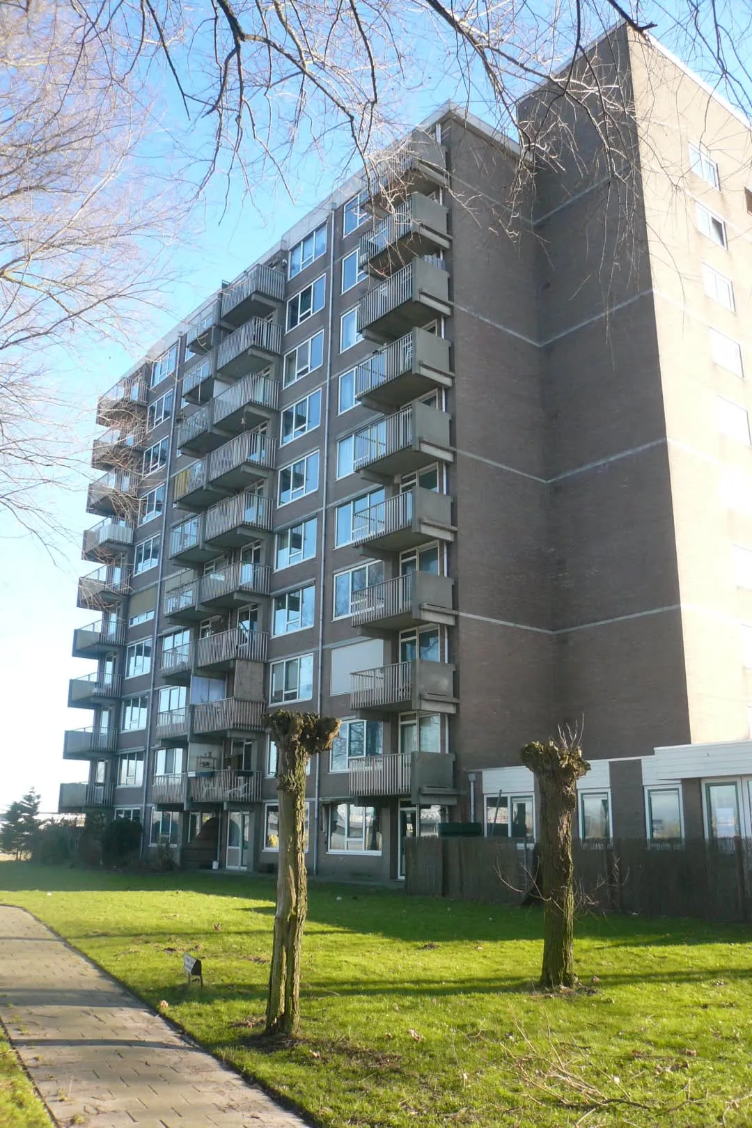 Albert Meijnsstraat