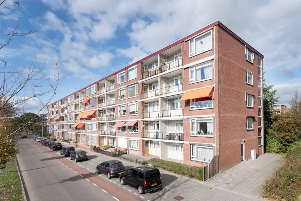 Rijnstraat