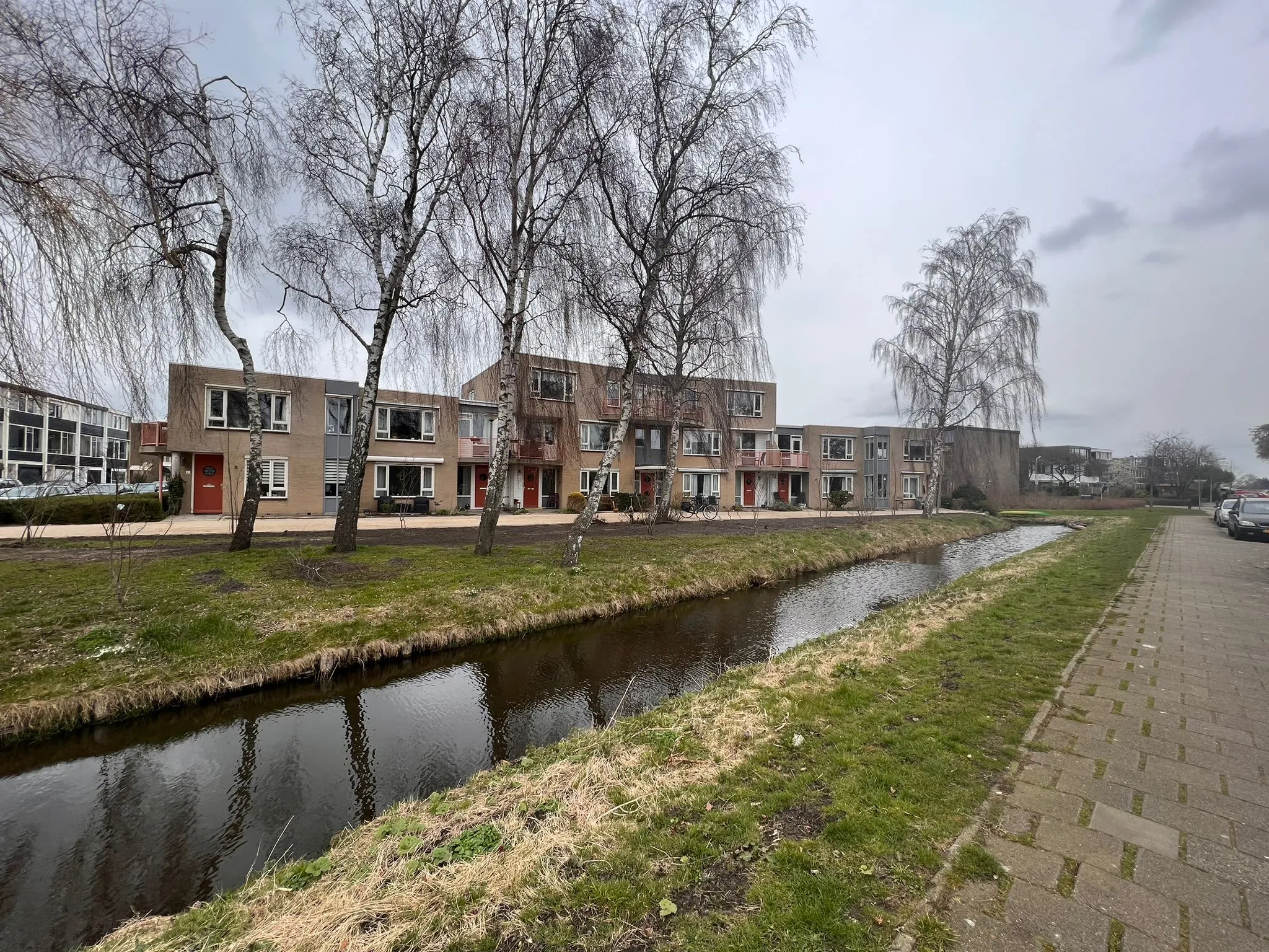 IJsvogelstraat