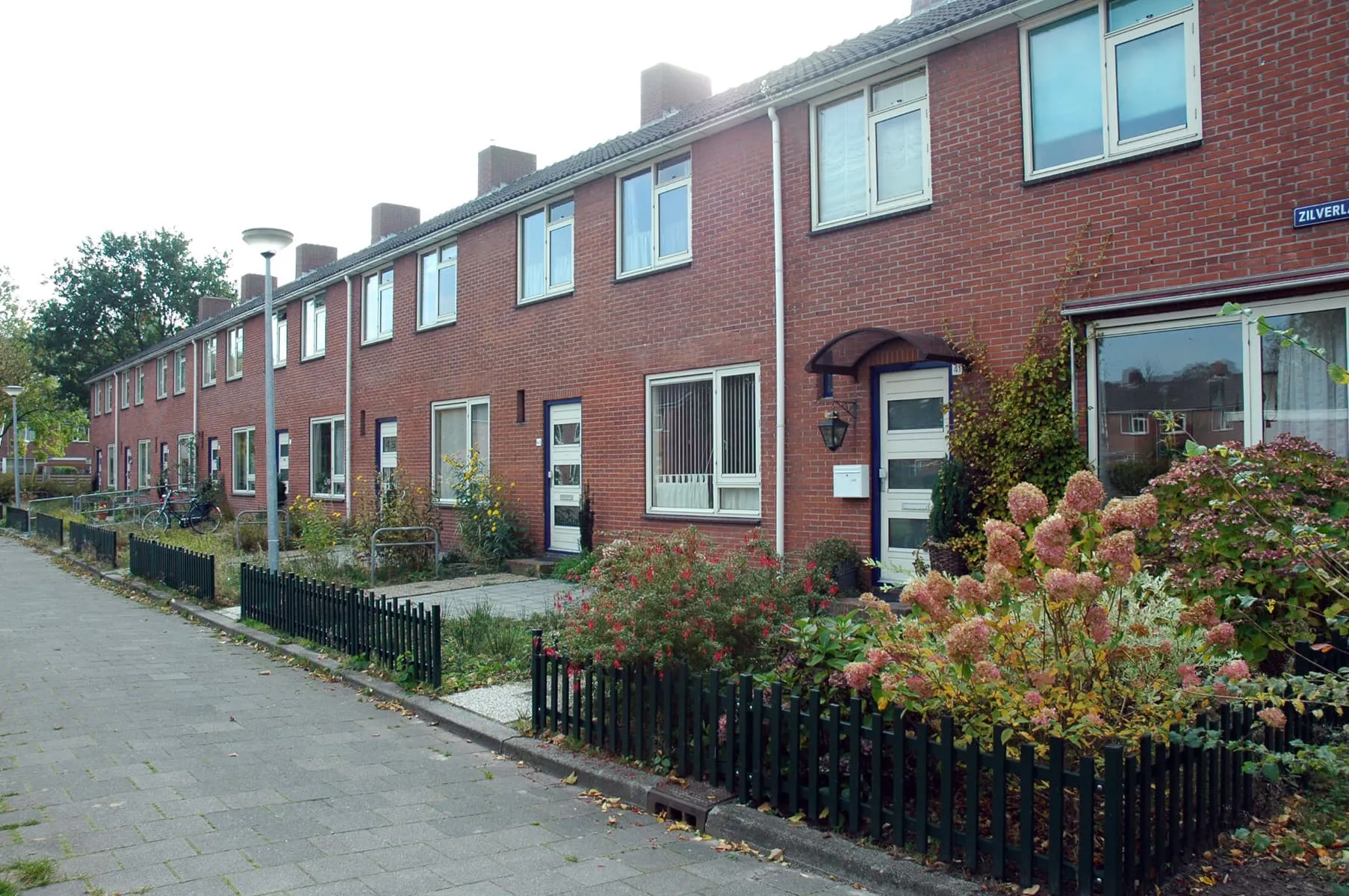 Zilverlaan