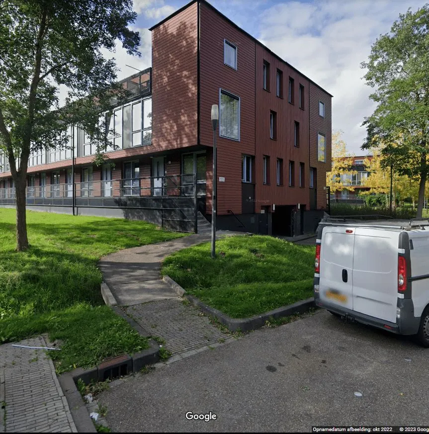 Meerval