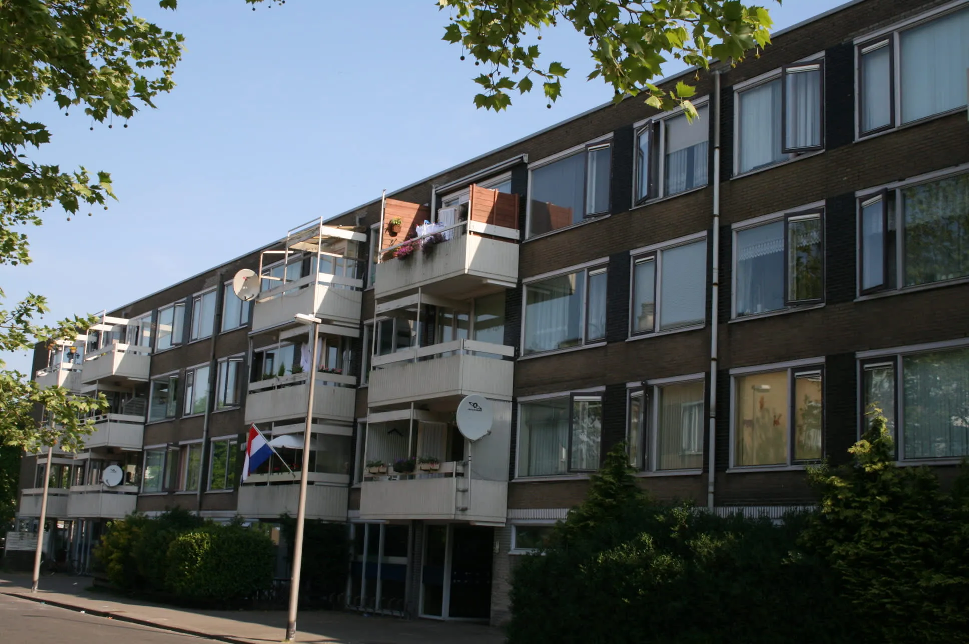 Selvasdreef