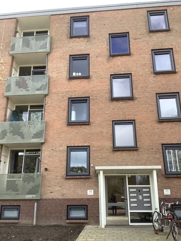 De Savornin Lohmanweg