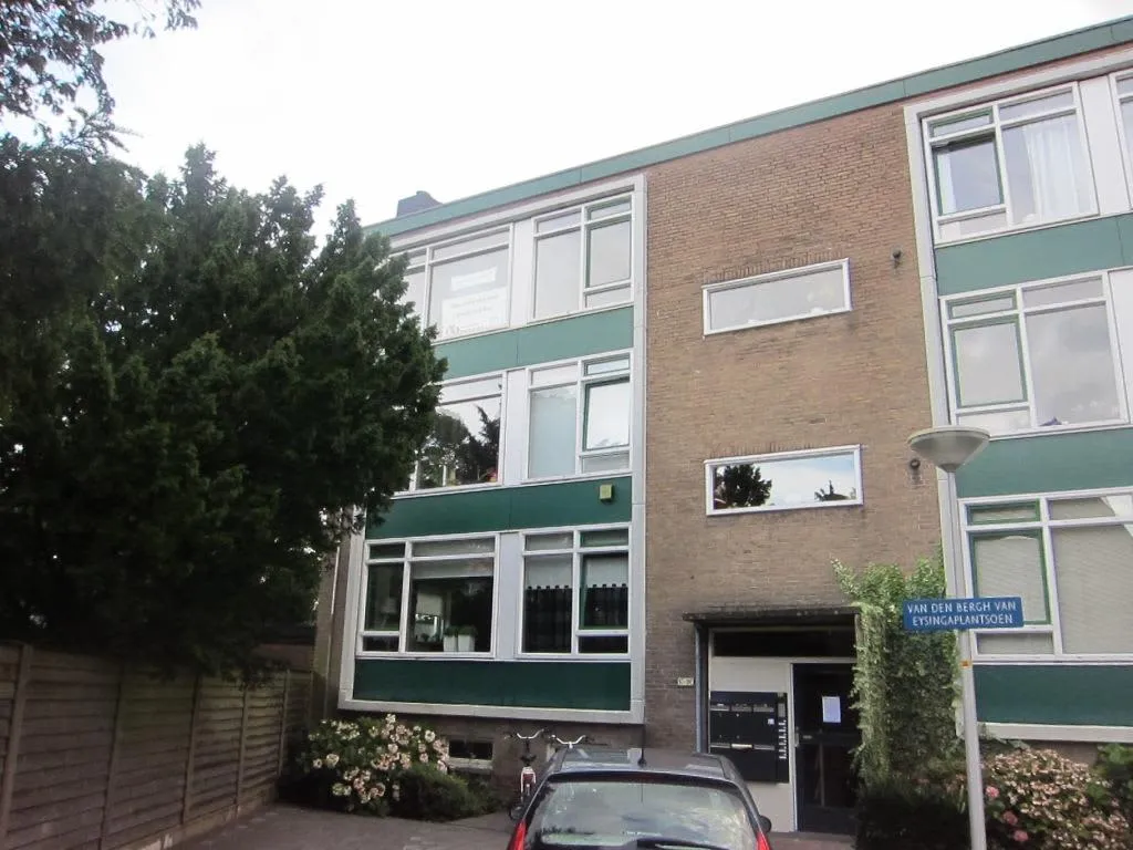 Van den Bergh van Eysingaplantsoen