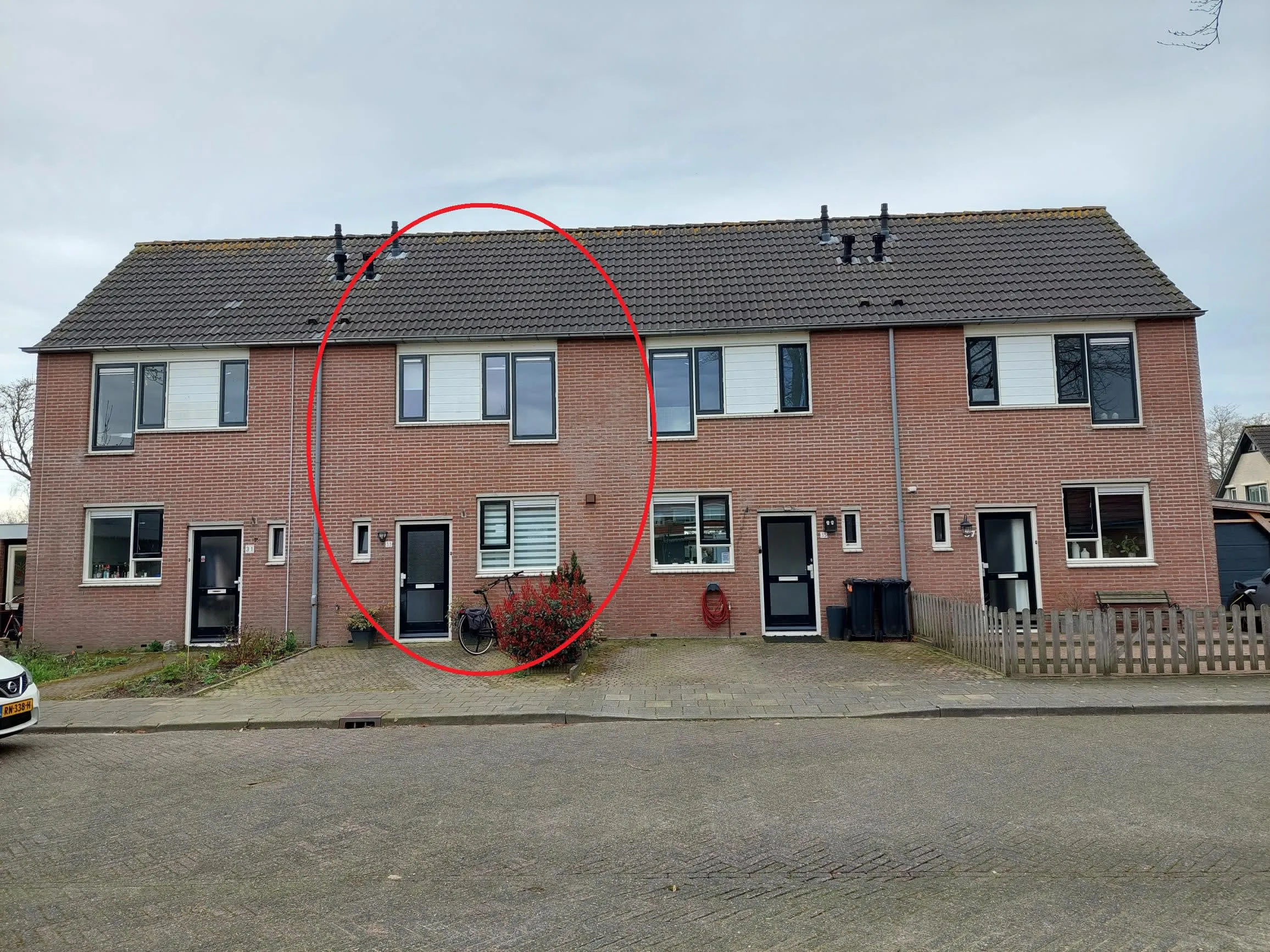 Boerenzwaluw