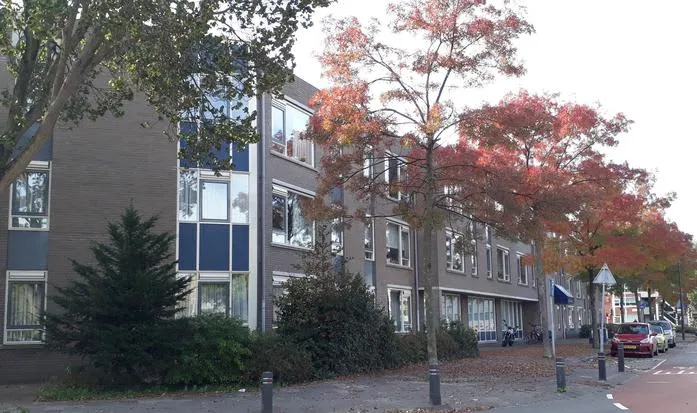 Bullerlaan