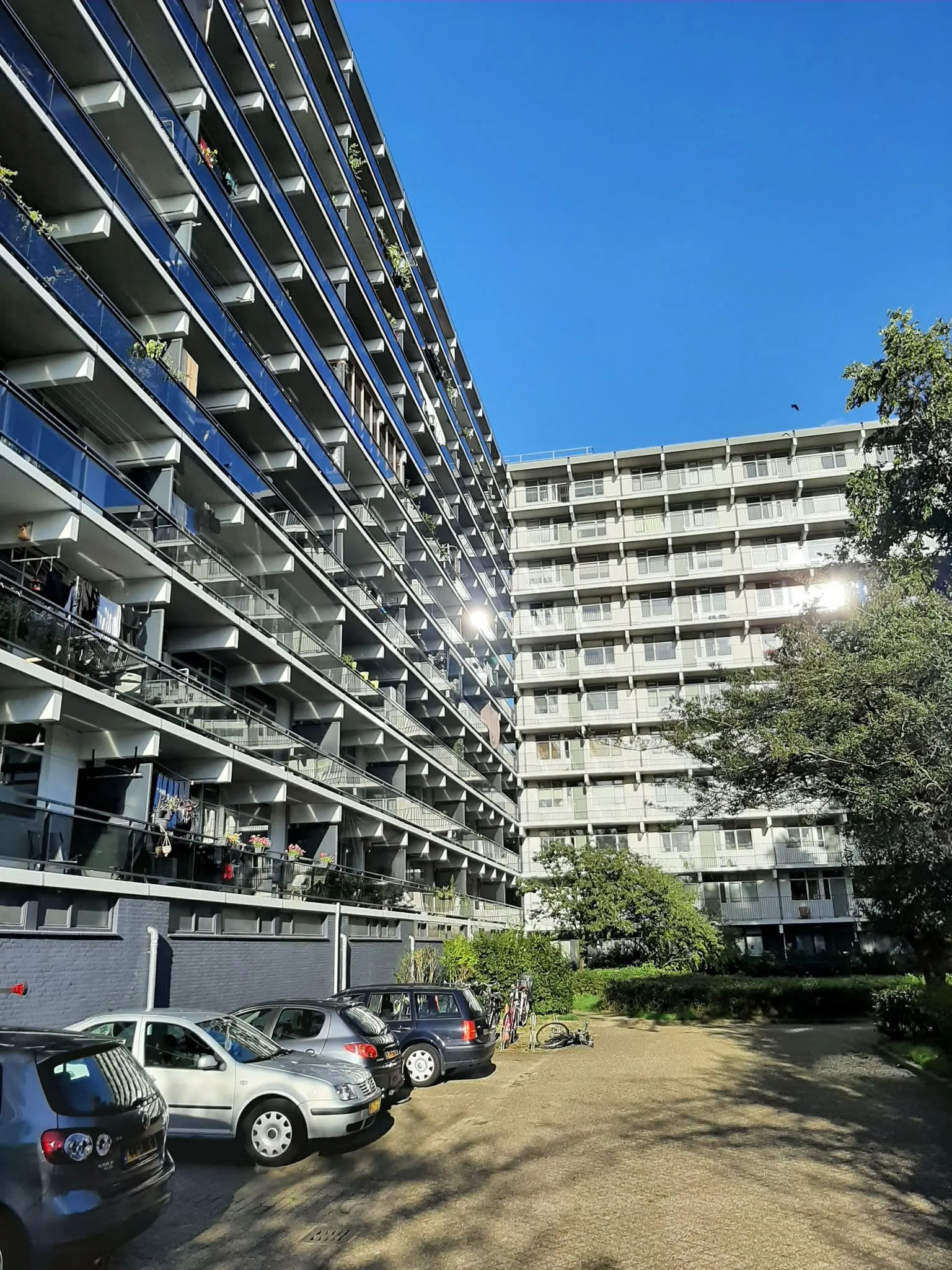 Pomona