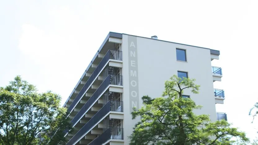 Asterstraat