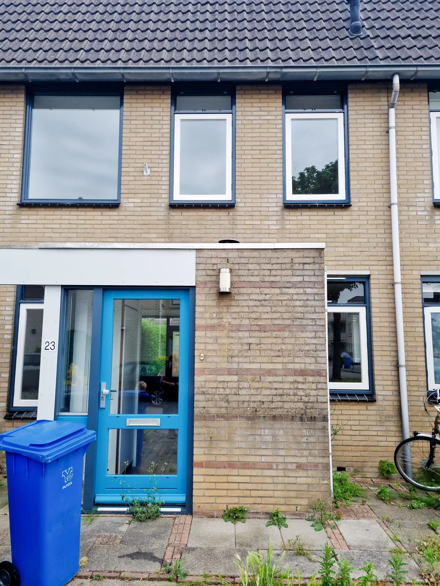 Schouw