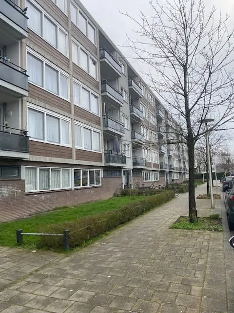Magelhaenlaan