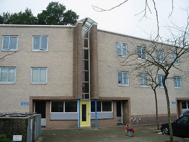 Purpervlinder