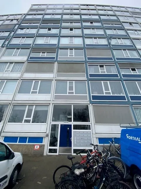 Scharlakendreef