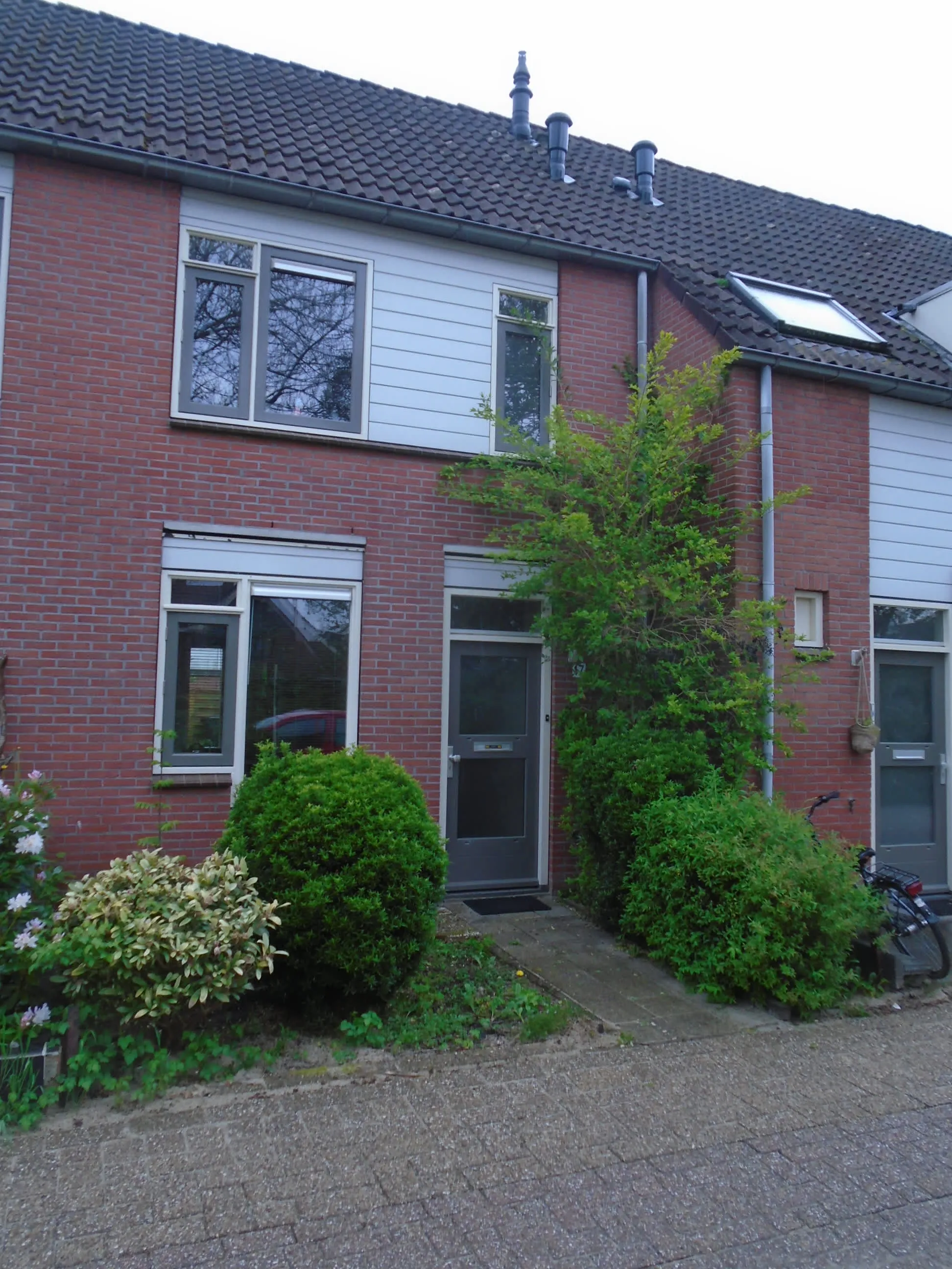 Goudpluviersingel