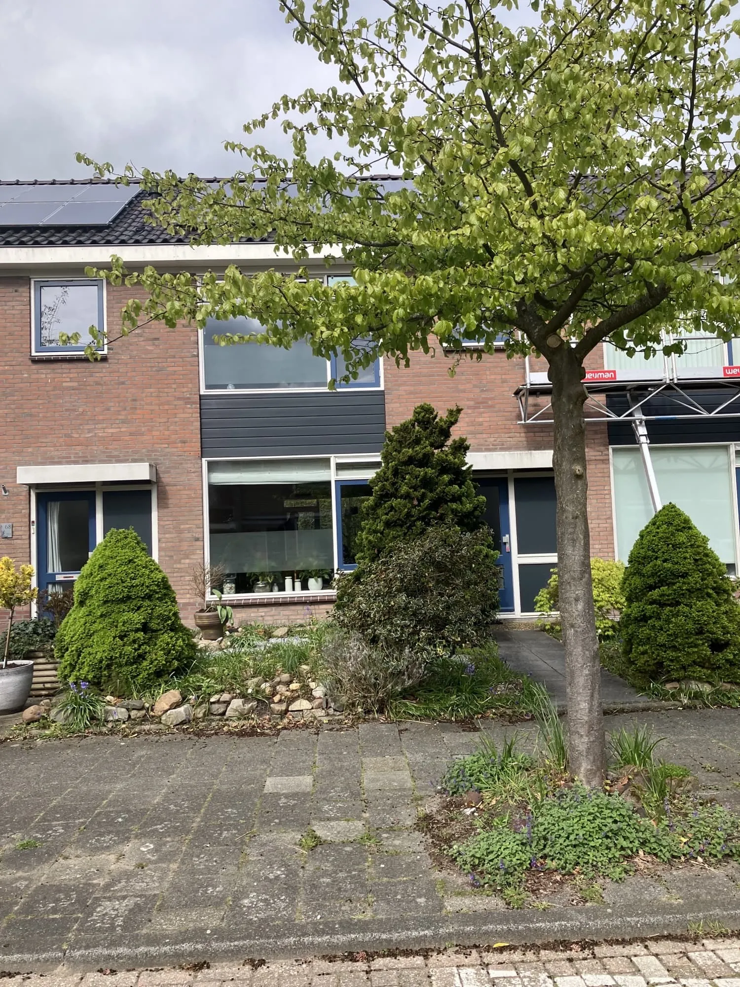 Camphuysenstraat