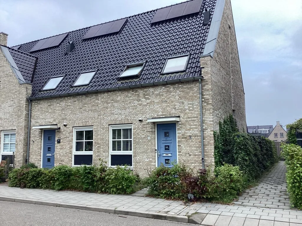 Gerstveld