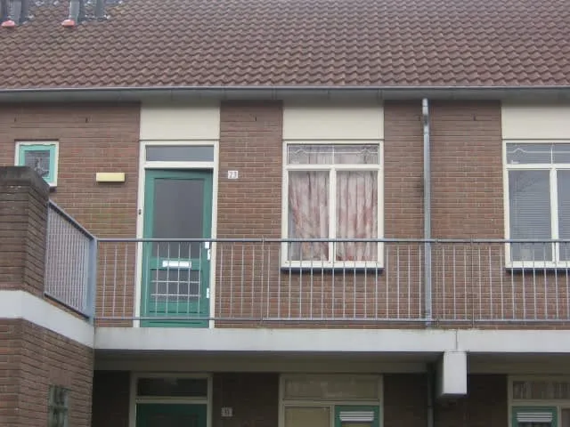 Roodborstje